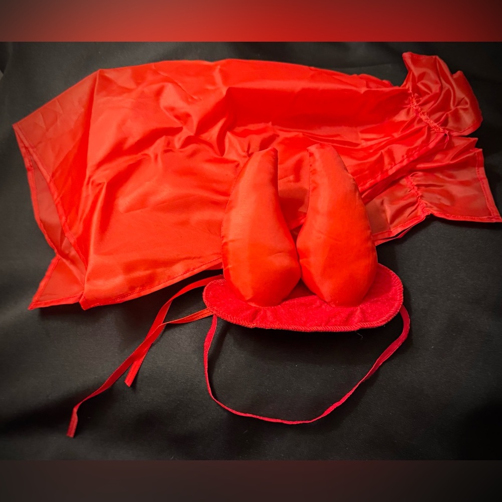 Dickens’ Closet Devil Dog Two Piece Dog Costume. Size Large.